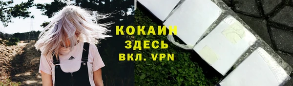герыч Арсеньев