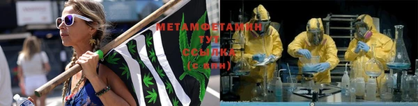 крисы Новокубанск