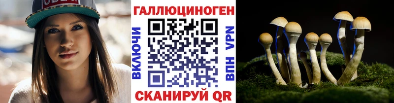 Псилоцибиновые грибы мухоморы  продажа наркотиков  Аткарск 